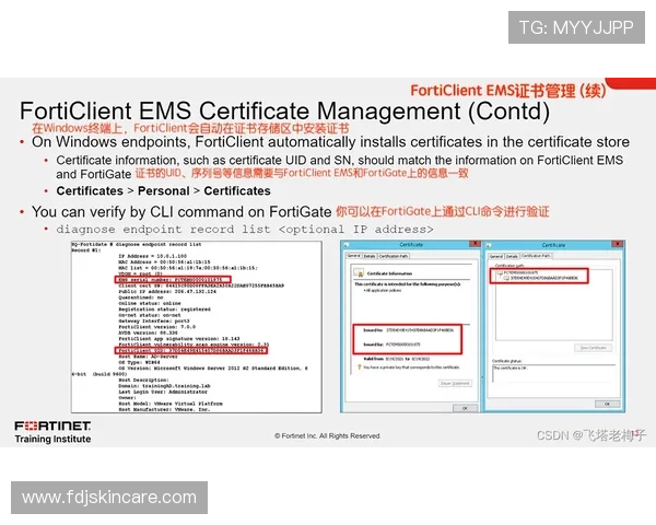 如何快速访问AG视讯官网下载页面，确保下载安全无病毒的详细操作流程